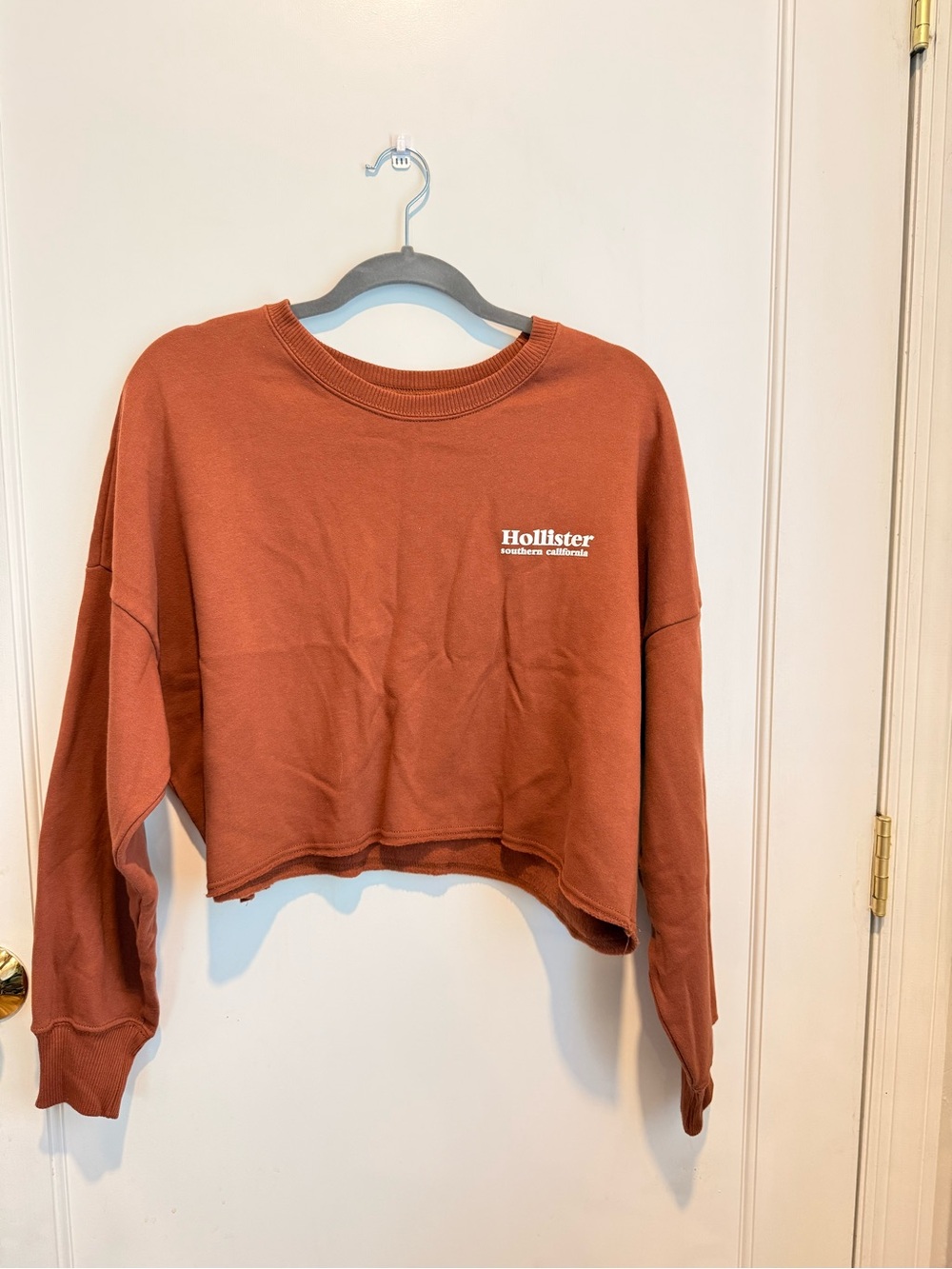 Hollister Cropped Crewneck Sweatshirt in Rust Brown